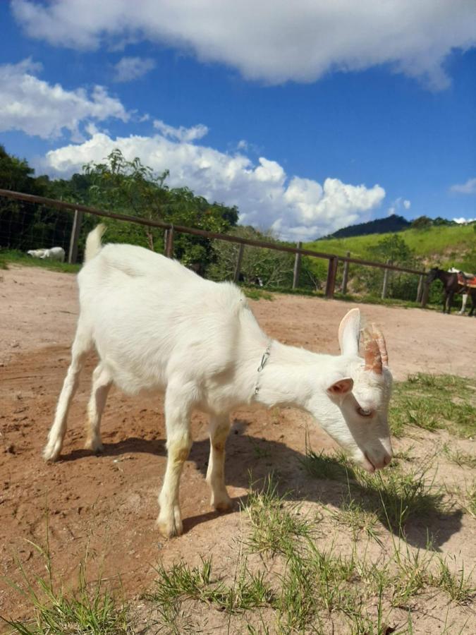 Hotel Fazendao サンタ・ブランカ エクステリア 写真