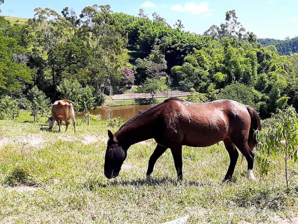 Hotel Fazendao サンタ・ブランカ エクステリア 写真