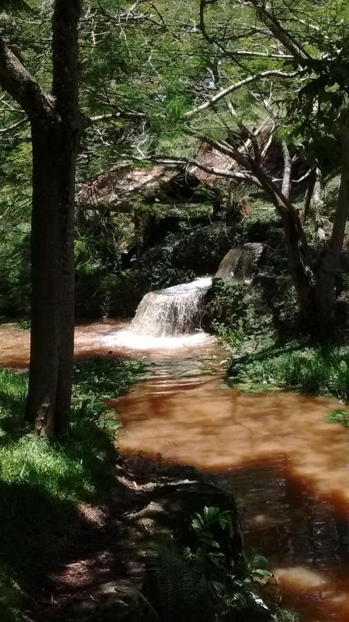 Hotel Fazendao サンタ・ブランカ エクステリア 写真