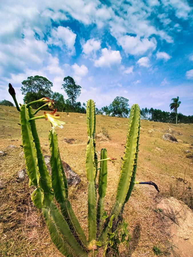 Hotel Fazendao サンタ・ブランカ エクステリア 写真